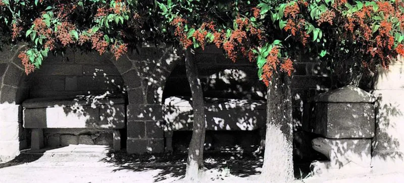 Santa María a Nova and the guild tomb-slabs